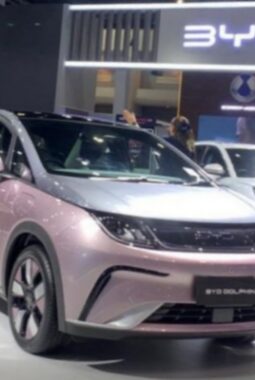 Ministry Warns 36 Digital Platforms Including BYD Over Registration Failure