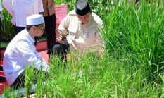 Cabinet Reshuffle Looms as Prabowo Evaluates Ministers’ Performance