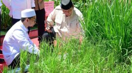 President Prabowo Subianto. (Facebook.com @Setkab RI)