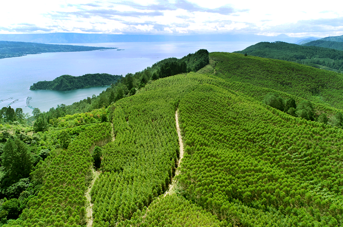 INRU Shares Skyrocket 600 Percent, Foreign Investor Quietly Seizes 92 Percent Ownership Without Any Public Disclosure