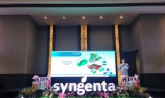 Syngenta Dorong Petani Hadapi Hama Resisten lewat Teknologi dan Edukasi